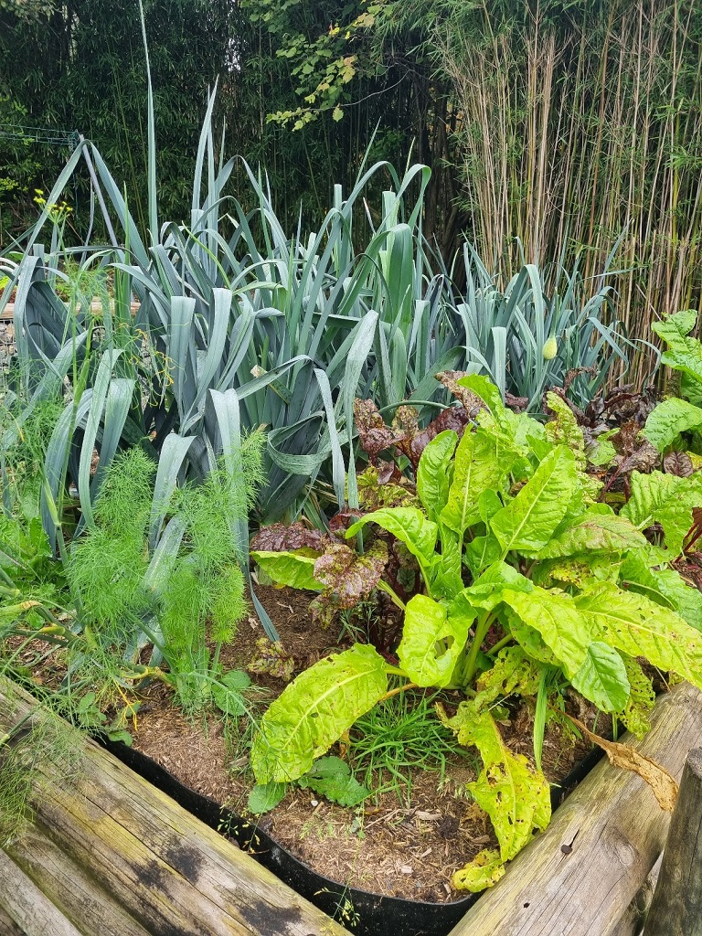 Gartenkorn Bio-Dünger und Bodenaktivator