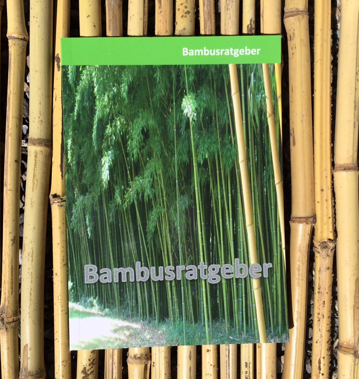 Bambusratgeber - alles über Bambuspflanzen